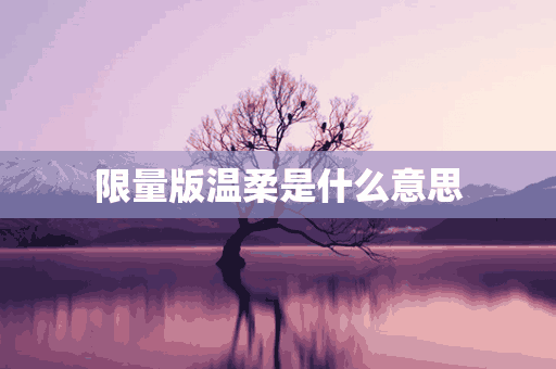 限量版温柔是什么意思